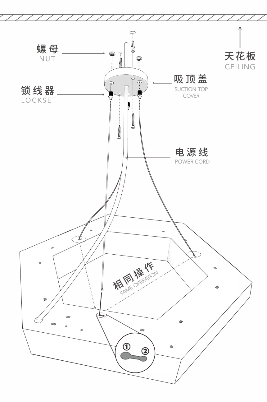 21-DX5-XQ2.jpg